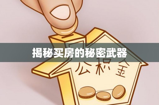 北塔揭秘买房的秘密武器