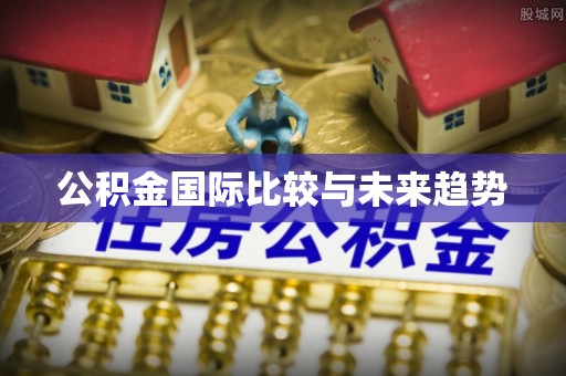 北塔公积金国际比较与未来趋势