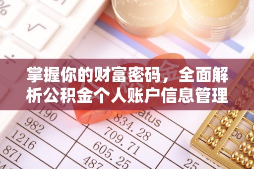 北塔掌握你的财富密码，全面解析公积金个人账户信息管理与优化
