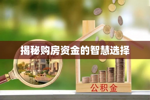 北塔揭秘购房资金的智慧选择