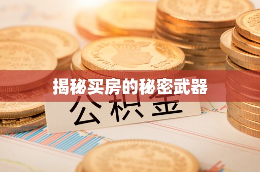 北塔揭秘买房的秘密武器