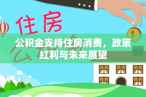北塔公积金支持住房消费，政策红利与未来展望