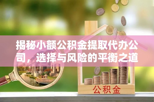 北塔揭秘小额公积金提取代办公司，选择与风险的平衡之道