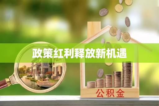北塔政策红利释放新机遇
