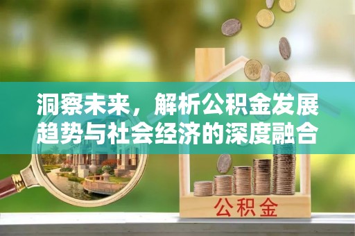 北塔洞察未来，解析公积金发展趋势与社会经济的深度融合