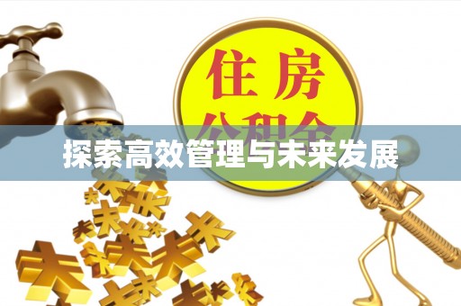 北塔探索高效管理与未来发展