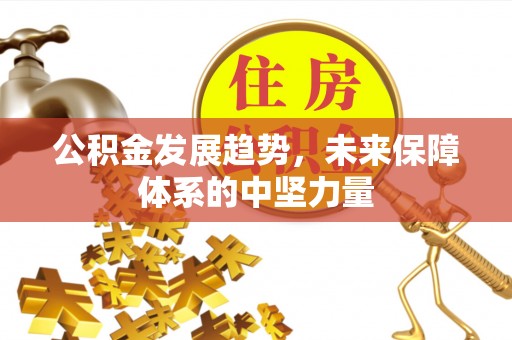 北塔公积金发展趋势，未来保障体系的中坚力量