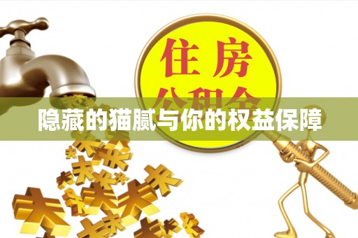 北塔隐藏的猫腻与你的权益保障