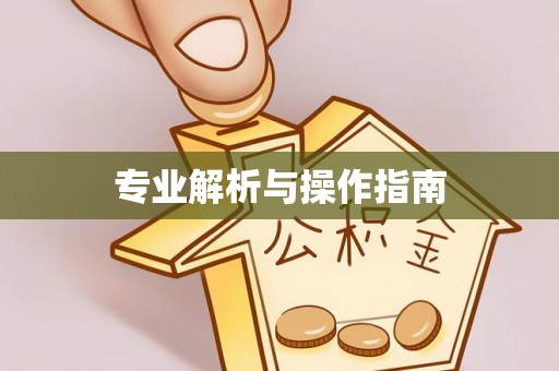北塔专业解析与操作指南