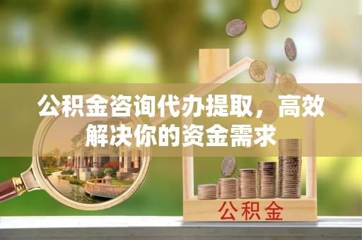 北塔公积金咨询代办提取，高效解决你的资金需求