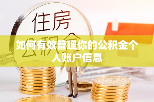 北塔如何有效管理你的公积金个人账户信息