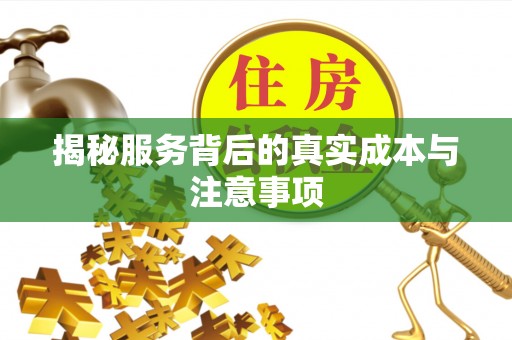 北塔揭秘服务背后的真实成本与注意事项