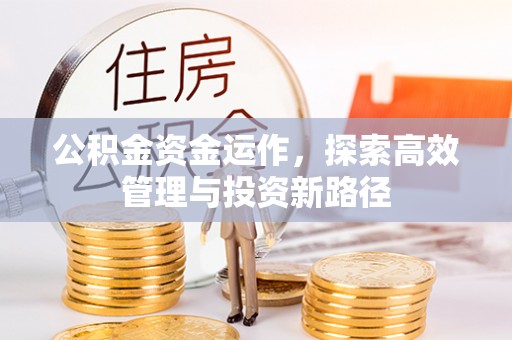 北塔公积金资金运作，探索高效管理与投资新路径