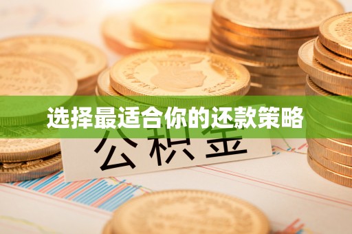 北塔选择最适合你的还款策略
