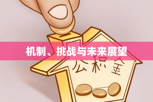 北塔机制、挑战与未来展望