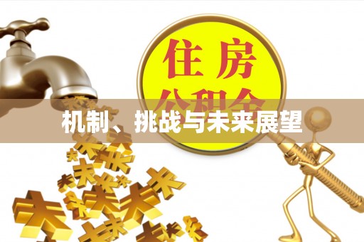 北塔机制、挑战与未来展望